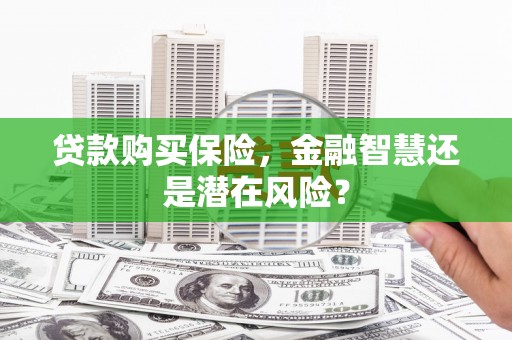 塔什库尔干塔吉克贷款购买保险，金融智慧还是潜在风险？