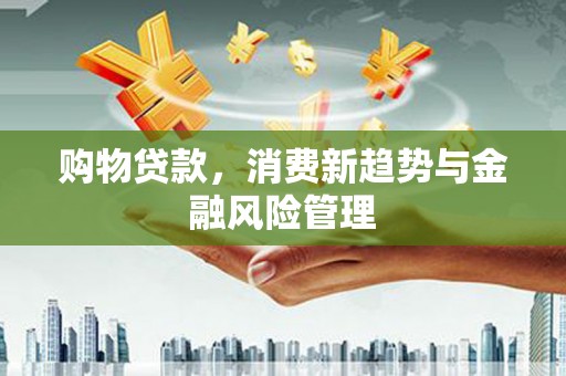 镇巴购物贷款，消费新趋势与金融风险管理