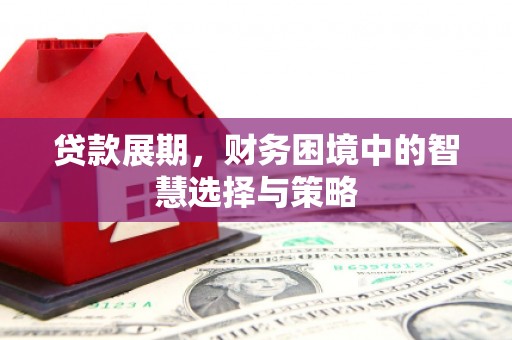沙洋贷款展期，财务困境中的智慧选择与策略