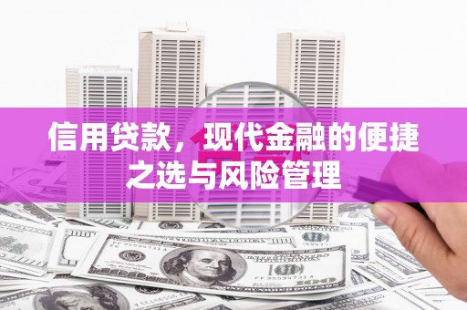 西丰信用贷款，现代金融的便捷之选与风险管理