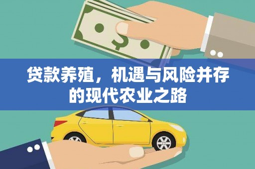洋县贷款养殖，机遇与风险并存的现代农业之路