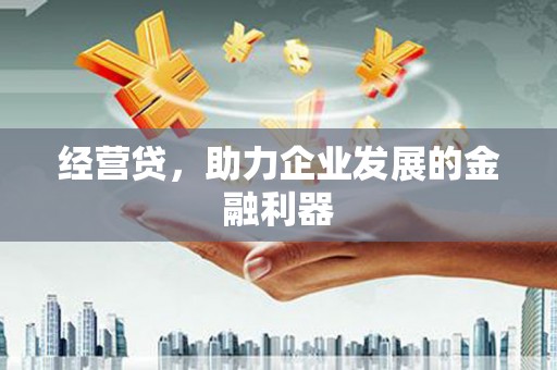 盐山经营贷，助力企业发展的金融利器