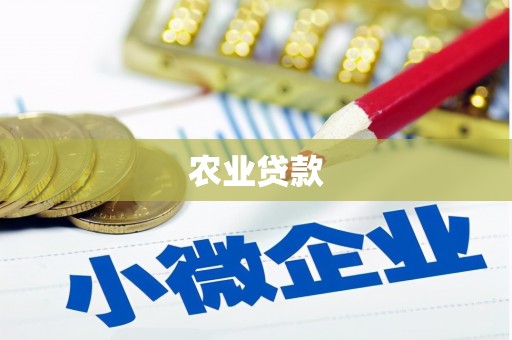 灌阳农业贷款