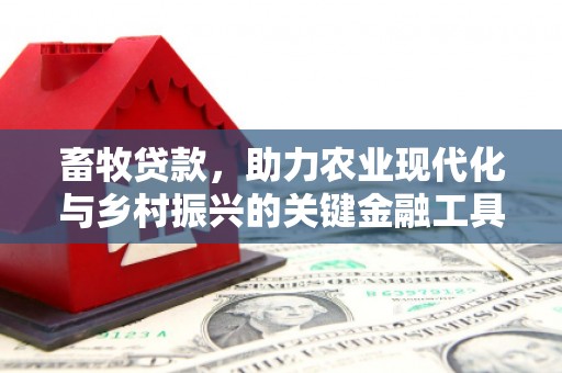 崇明畜牧贷款，助力农业现代化与乡村振兴的关键金融工具