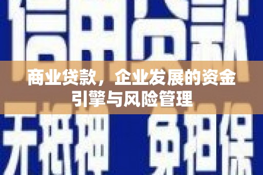 阿莲商业贷款，企业发展的资金引擎与风险管理