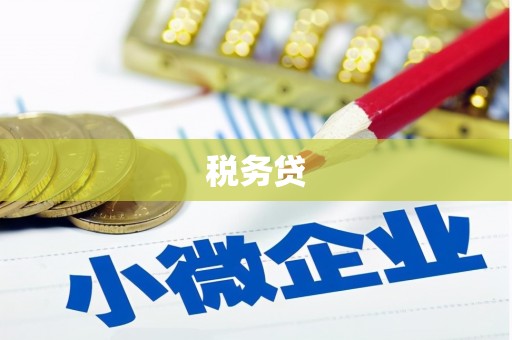 周至税务贷