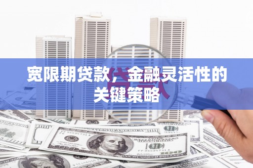 达拉特旗宽限期贷款，金融灵活性的关键策略