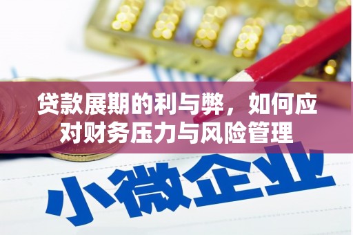 巧家贷款展期的利与弊，如何应对财务压力与风险管理