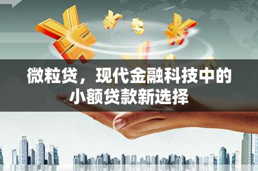 新兴微粒贷，现代金融科技中的小额贷款新选择