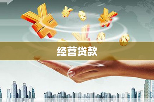 璧山经营贷款