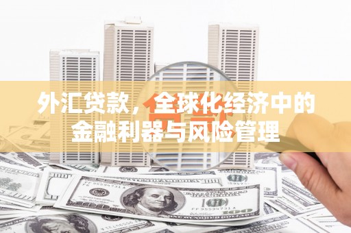 万峦外汇贷款，全球化经济中的金融利器与风险管理