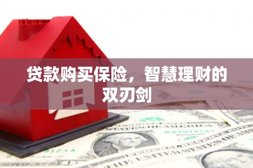 鹿草贷款购买保险，智慧理财的双刃剑