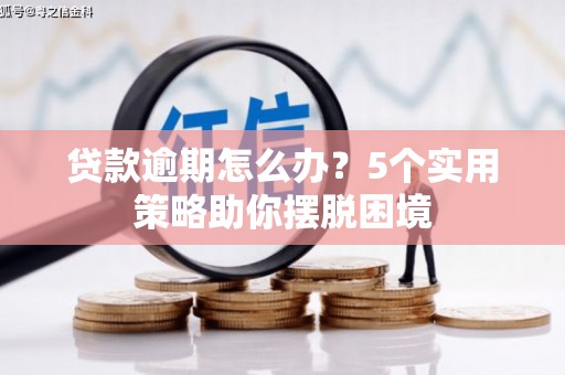 曲水贷款逾期怎么办？5个实用策略助你摆脱困境