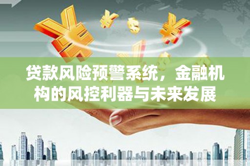 坡头贷款风险预警系统，金融机构的风控利器与未来发展