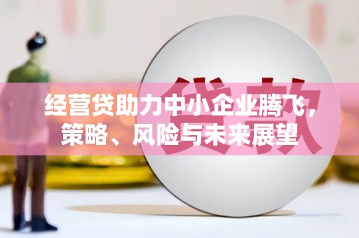 昌宁经营贷助力中小企业腾飞，策略、风险与未来展望