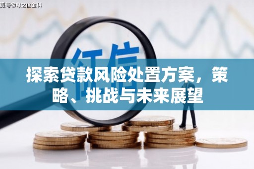 彝良探索贷款风险处置方案，策略、挑战与未来展望