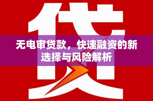 凌海无电审贷款，快速融资的新选择与风险解析