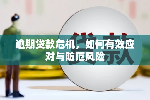 田林逾期贷款危机，如何有效应对与防范风险