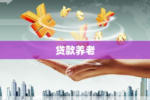 大名贷款养老
