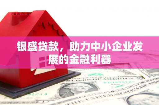 湖里银盛贷款，助力中小企业发展的金融利器