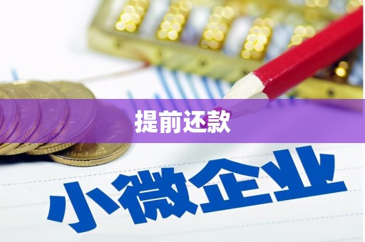 惠济提前还款