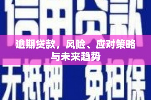滁州逾期贷款，风险、应对策略与未来趋势