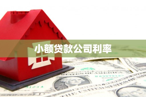 田寮小额贷款公司利率