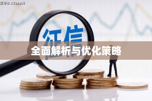 盐城全面解析与优化策略