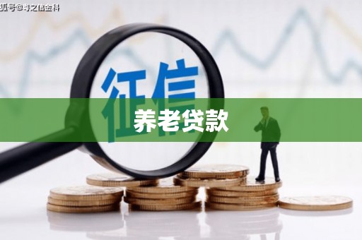 港南养老贷款