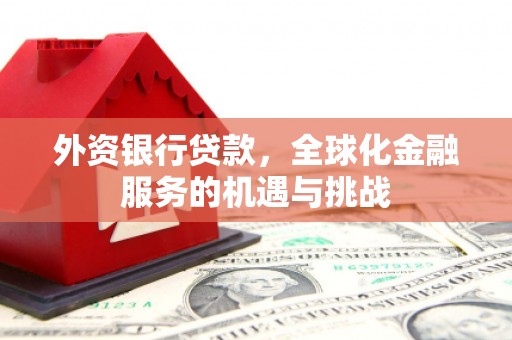 九台外资银行贷款，全球化金融服务的机遇与挑战