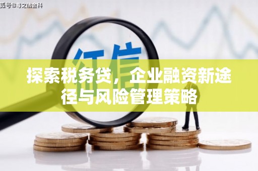 沙湾探索税务贷，企业融资新途径与风险管理策略