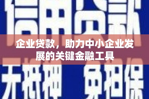 额济纳旗企业贷款，助力中小企业发展的关键金融工具
