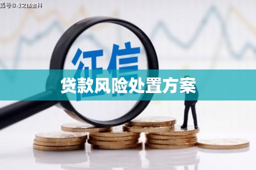 浮梁贷款风险处置方案