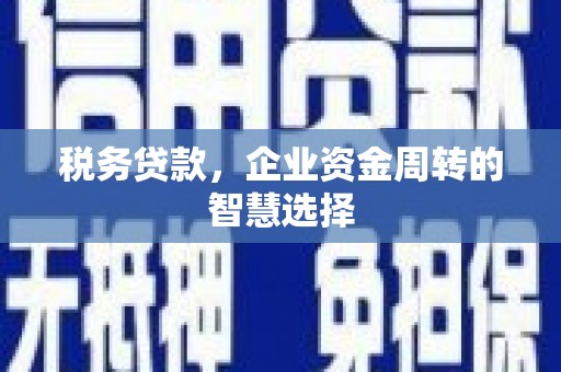 任丘税务贷款，企业资金周转的智慧选择