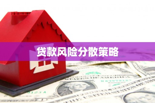 庄浪贷款风险分散策略