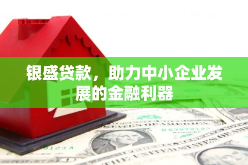 云和银盛贷款，助力中小企业发展的金融利器