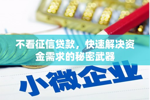 梨树不看征信贷款，快速解决资金需求的秘密武器