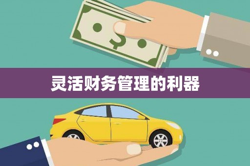 文成灵活财务管理的利器