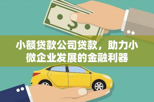 定州小额贷款公司贷款，助力小微企业发展的金融利器