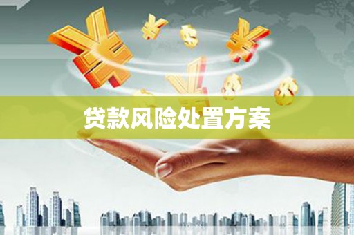 南屯贷款风险处置方案