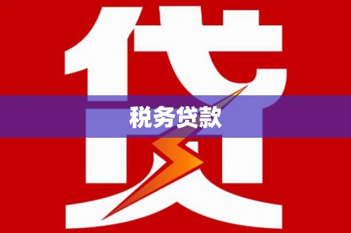 伸港税务贷款