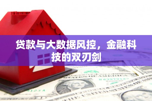 孝感贷款与大数据风控，金融科技的双刃剑