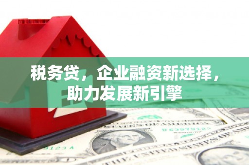 滦县税务贷，企业融资新选择，助力发展新引擎