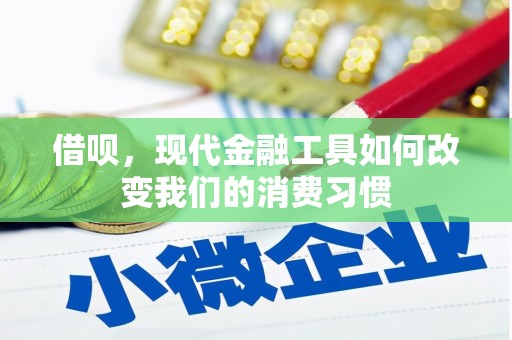 富源借呗，现代金融工具如何改变我们的消费习惯