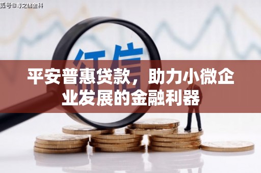 府谷平安普惠贷款，助力小微企业发展的金融利器