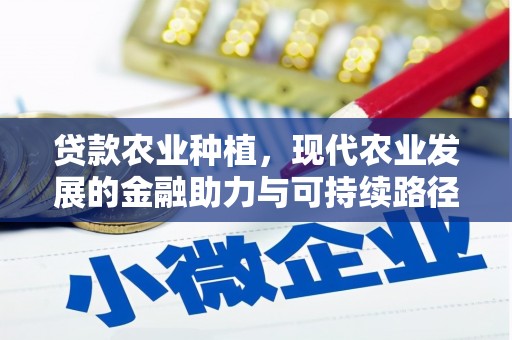 那玛夏贷款农业种植，现代农业发展的金融助力与可持续路径
