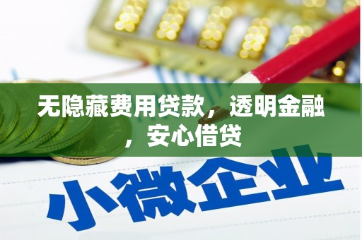习水无隐藏费用贷款，透明金融，安心借贷