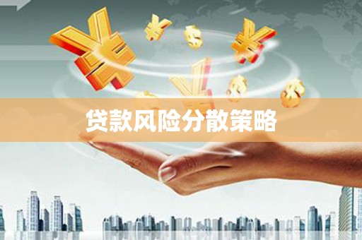中牟贷款风险分散策略