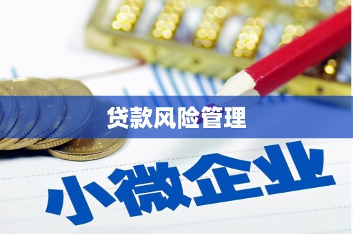柏乡贷款风险管理