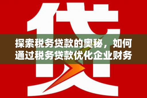 宿松探索税务贷款的奥秘，如何通过税务贷款优化企业财务